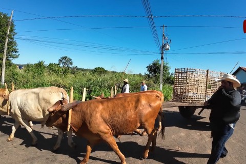 JP fala com Ademilson Queiroz sobre a Expo Show de Torixoréu de 2024