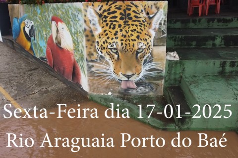Rio Araguaia começa a subir em Barra do Garças. Registro sexta-feira  dia 17-01-2025