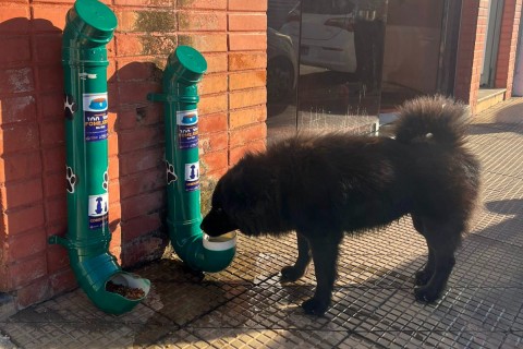 *Prefeitura instala comedouros e bebedouros para incentivar cuidado com animais de rua em Barra do Garças* 🐶🐱✅